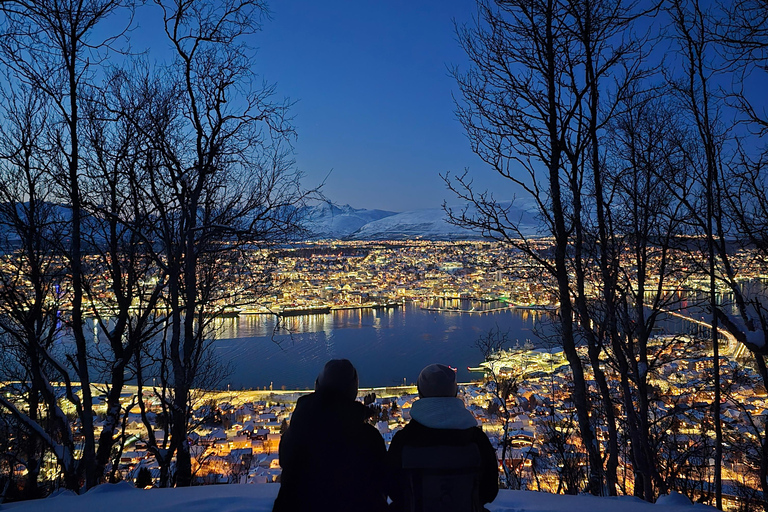 Tromsø: Fjellheisen Local Guided Hike