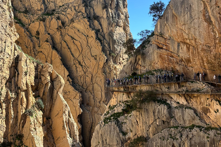 Málaga: Caminito del Rey Private Tour with Guide & Pickup