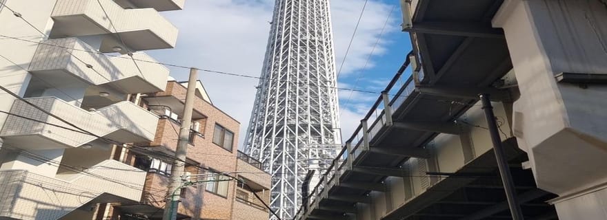 Depuis Shizuoka : visite privée d'une journée à Tokyo avec chauffeur