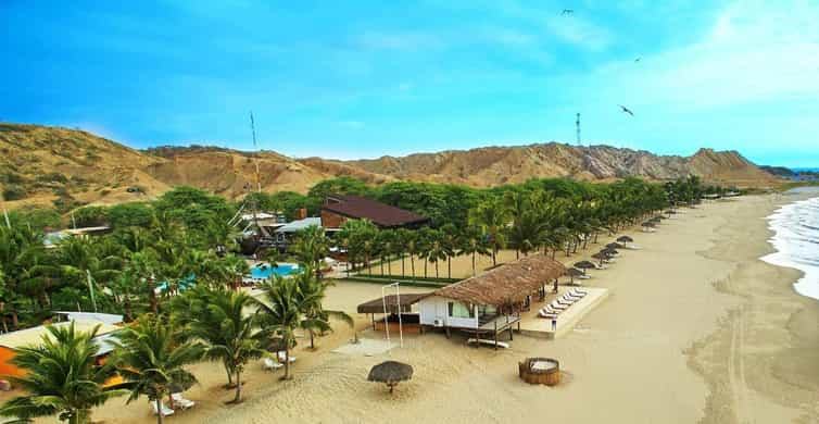 Explora las playas de Tumbes y nada con tortugas. | GetYourGuide