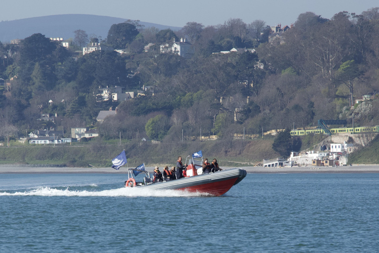 Guided Boat Tour around Dublin Bay