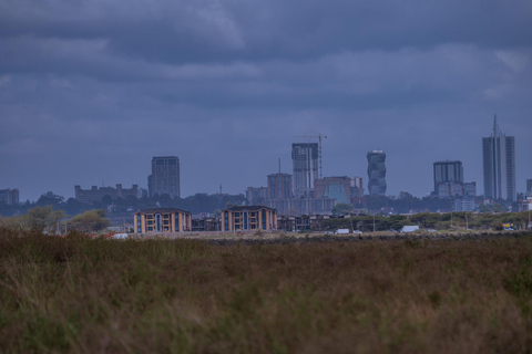 Nairobi: National Park Game Drive with Local Guide