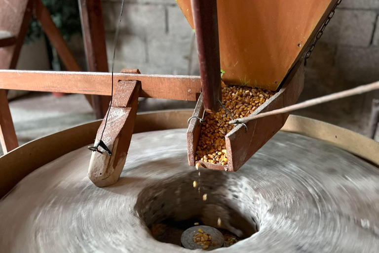 From Tirana/Durres: THINK GLOBAL, ACT AS A LOCAL