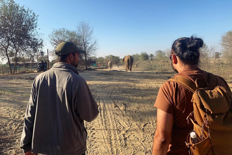 Da Agra: visita al viaggio di conservazione degli elefanti SOS Wildlife