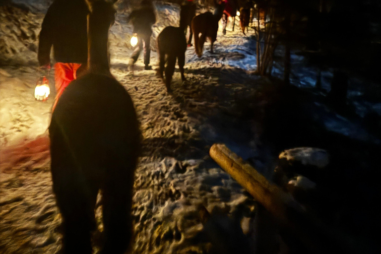 Guided llamawalk with a traditional, homemade cheesefondue