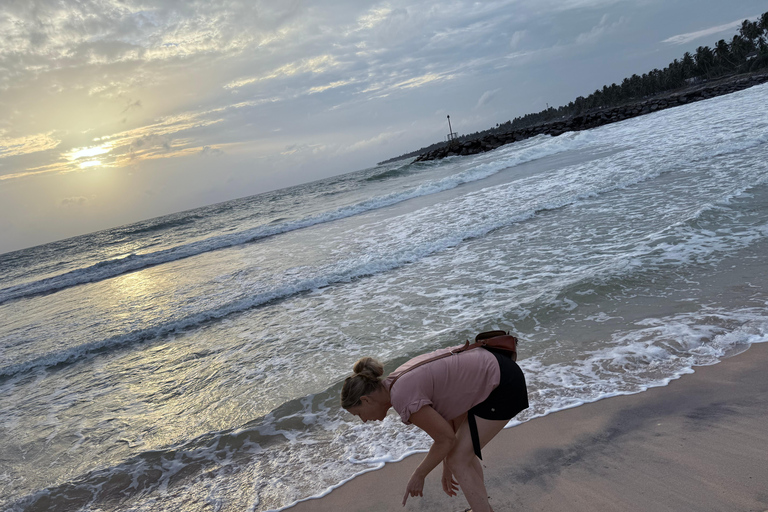 Colombo: Coastal Culture & Cinnamon Experience to Galle