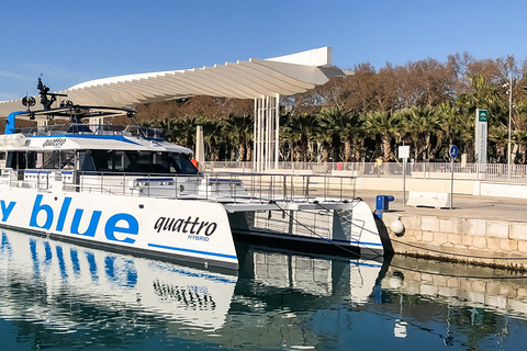 Málaga: Cruzeiro de catamarã com parada opcional para nadarPasseio Diurno de 1 Hora sem Parada para Mergulho