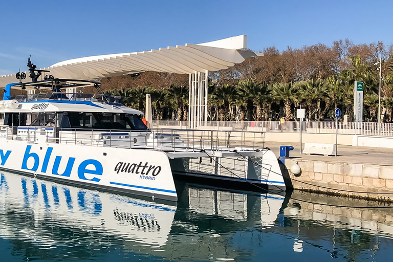 Málaga: Cruzeiro de catamarã com parada opcional para nadarPasseio Diurno de 1 Hora sem Parada para Mergulho