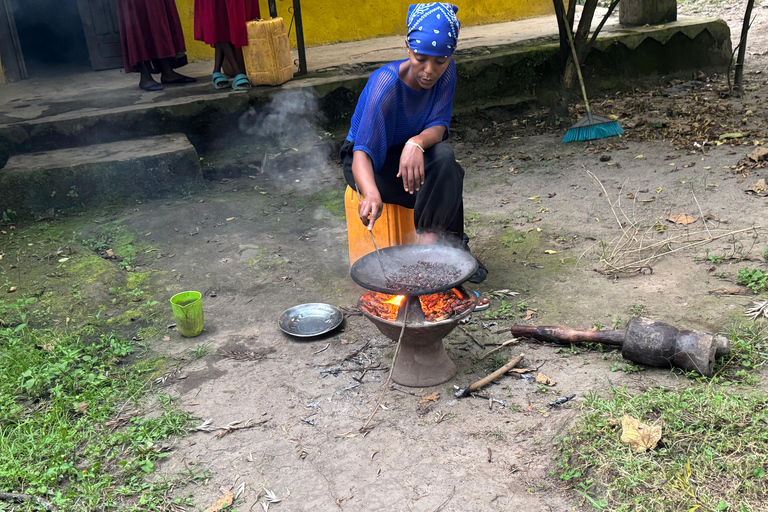Borana National Park: Wildlife and Birdwatching Tour