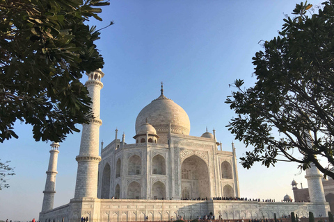 From Delhi: Private 2-Day Delhi & Agra Golden Triangle Tour Tour with 5 Star Hotel Accommodation