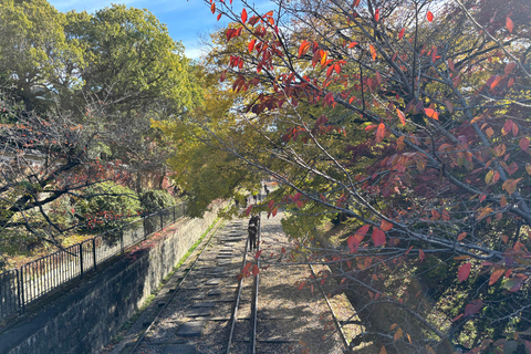 Kyoto: Higashiyama Premium E-Bike Tour with guide