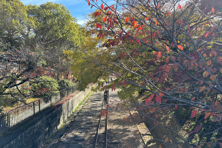 Kyoto: Higashiyama Premium E-Bike Tour with guide