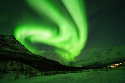 Tromsø: Nordlicht Tour mit kostenlosen professionellen Fotos