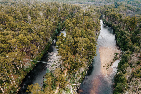 Huon Valley: Tahune Adventures Airwalk Site Entry Ticket