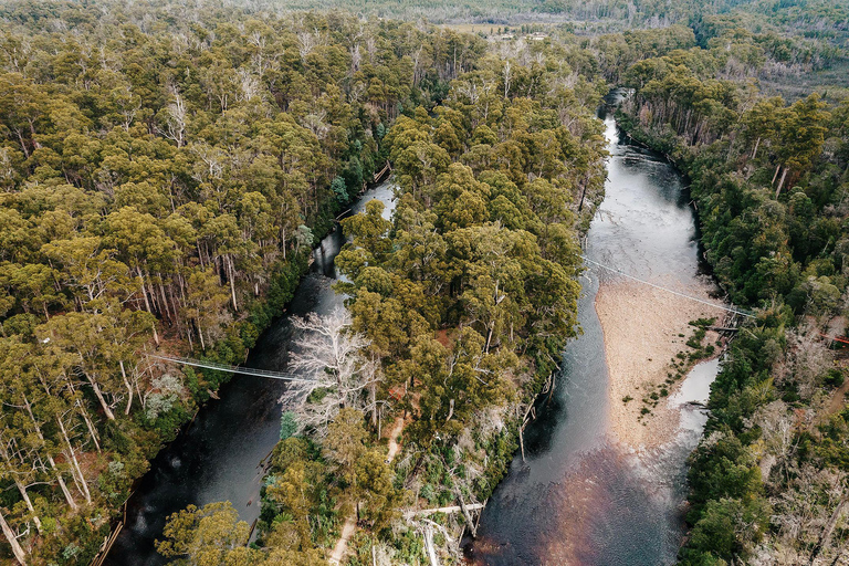 Huon Valley: Tahune Adventures Airwalk Site Entry Ticket