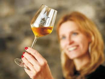 Sion: Sion Wine Tour - cata de vinos y tour guiado