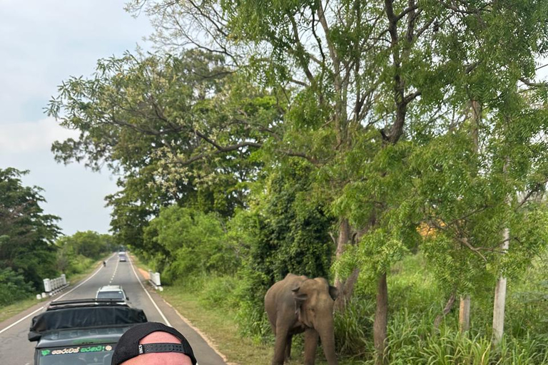 CMB/Negombo: Sigiriya, Kandy & Ella Private Tour with Driver Private Van with Driver – Up to 50 km