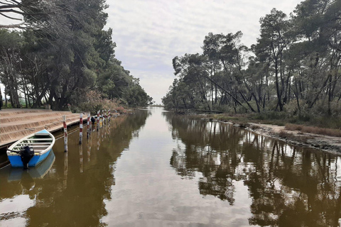 From Tirana/Durres/Golem: Karavasta Lagoon & Divjaka Tour Private Tour from Golem: Karavasta Lagoon & Divjaka Forest