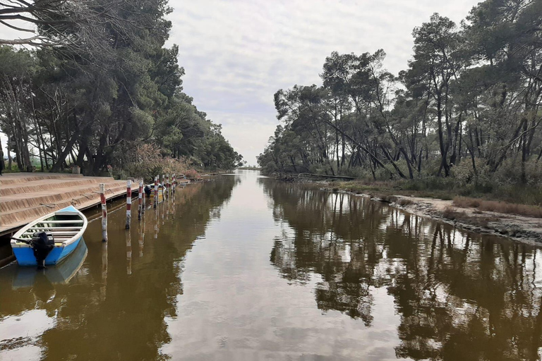 From Tirana/Durres/Golem: Karavasta Lagoon & Divjaka Tour Private Tour from Golem: Karavasta Lagoon & Divjaka Forest