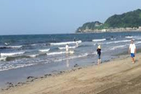 Tokyo: 2-Day Guided Tour with Kamakura & Hotel Pickup