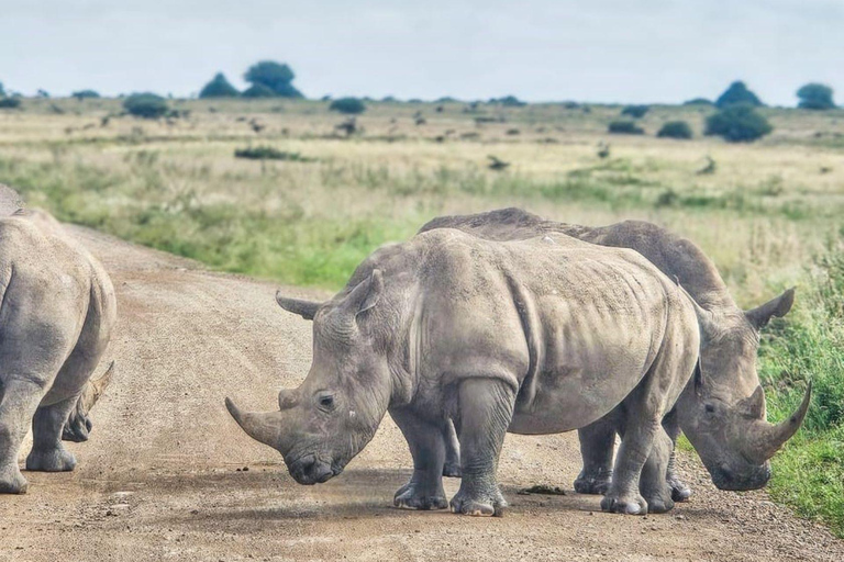Nairobi National Park Evening Game Drive & sundowner Nairobi National Park Evening Game Drive & sundowner - VAN