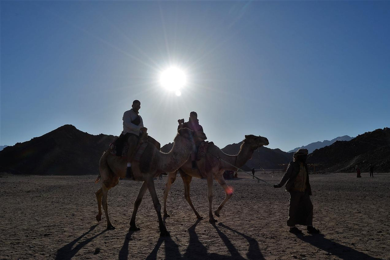 Hurghada: Camel Ride & horse ride and Off-Road Jeep Tour pickup from hotels inside hurghada