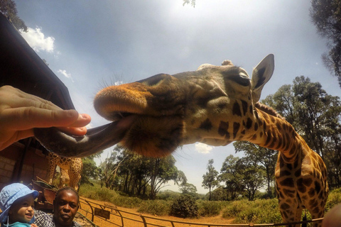 Depuis Nairobi : perles de Kazuri, centre pour bébés éléphants et girafes