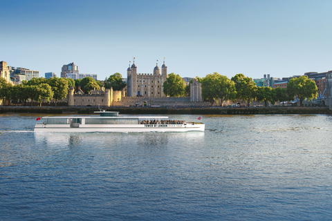伦敦：官方伦敦塔河游船之旅