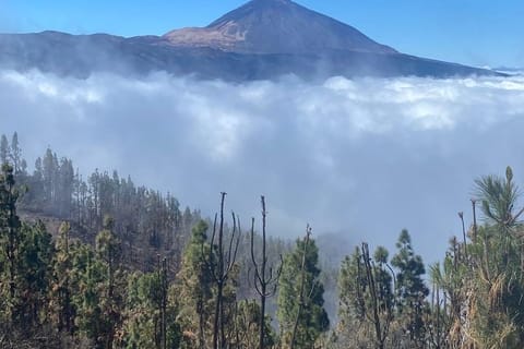 Teide Petits groupes, visites privées.