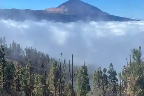Teneriffa: Ausflug in den Teide-Nationalpark und den Anaga Rural Park