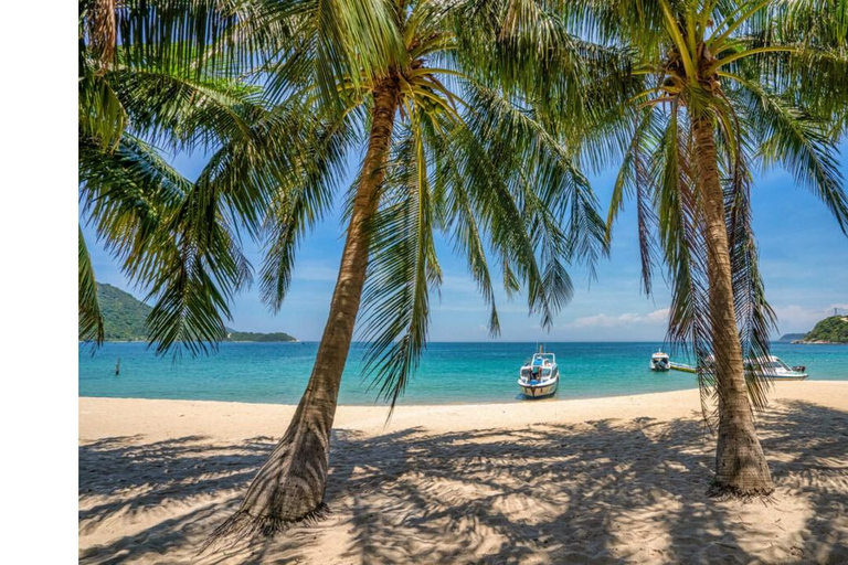 Quang Nam: Cu Lao Cham Island Tour with Lunch