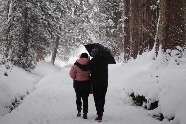 ناغانو: جولة خاصة في ضريح توجاكوشي، ساكي وزينكوجيالاستلام من مدينة ناغانو والمناطق المجاورة