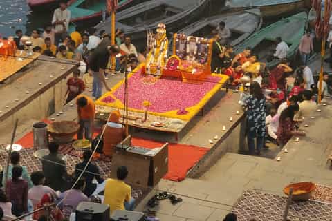 飯田順雅〜グラマトフィラムのバラナシ グラマトフィラム】の育て方・管理方法｜お花屋さんの花鉢シリーズ