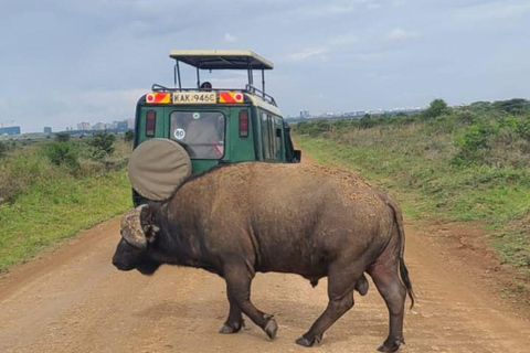 Nairobi National Park Evening Game Drive & sundowner Nairobi National Park Evening Game Drive & sundowner - VAN