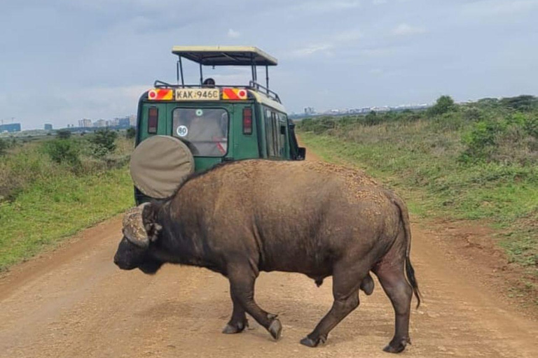 Nairobi National Park Evening Game Drive & sundowner Nairobi National Park Evening Game Drive & sundowner - VAN