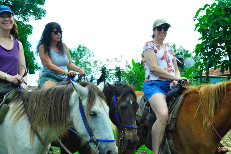 Punta Cana: Półdniowe safari ciężarówką z lunchem w formie bufetu