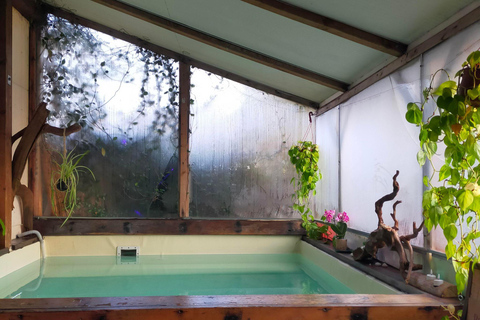 Langhe Spa Wellness Experience with Wine Langhe Spa Wellness Experience with Wine Tasting