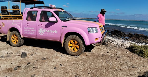 Sal: Island Tour with an Off-Road Touch and Creative Pictures