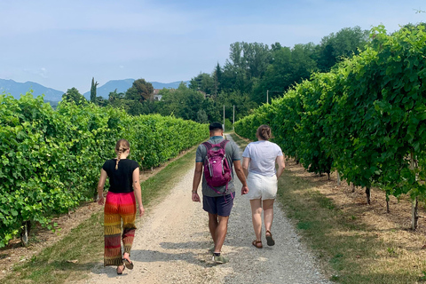 Prosecco Hills Private Tour All inclusive. 2 wineries+lunch