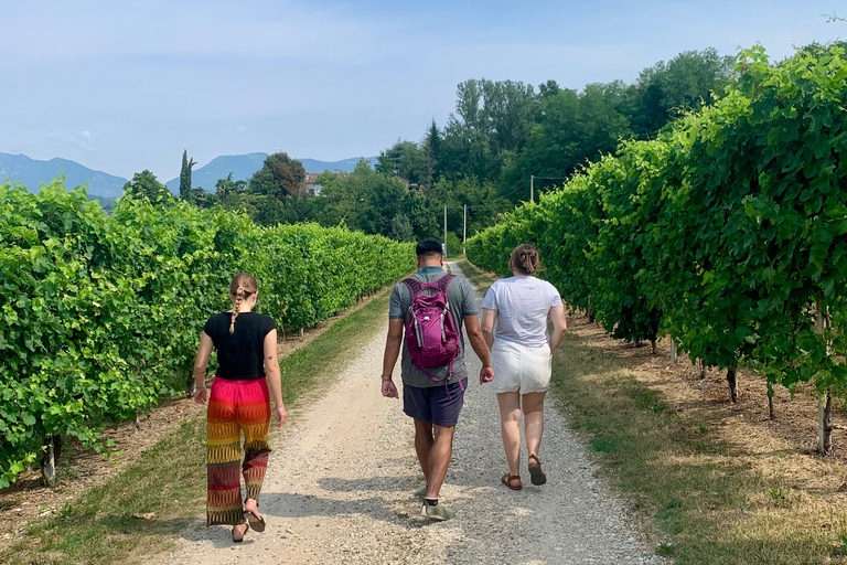 Prosecco Hills Private Tour All inclusive. 2 wineries+lunch