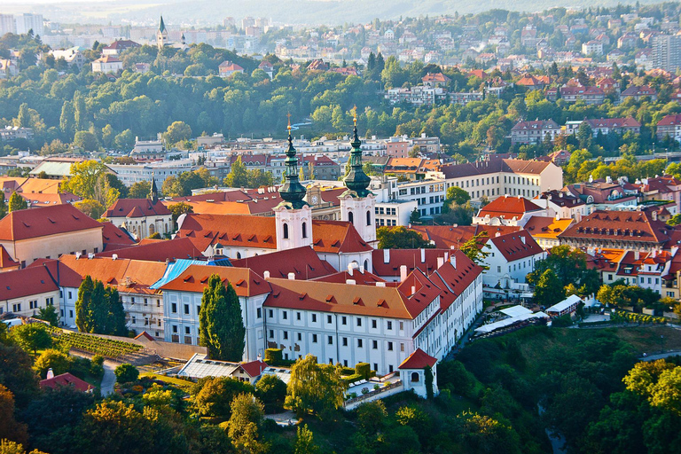 Private guided day tour from Munich to Prague, and back