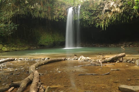 Maui: Halfway to Hana North Shore Photography Tour