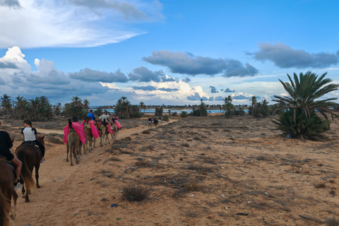 杰尔巴岛：在蓝色泻湖骑骆驼和骑马。杰尔巴：蓝色泻湖骑骆驼和骑马之旅。