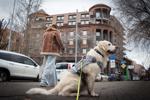 Morning walk in Yerevan: Guided Tour with my dog Charlie