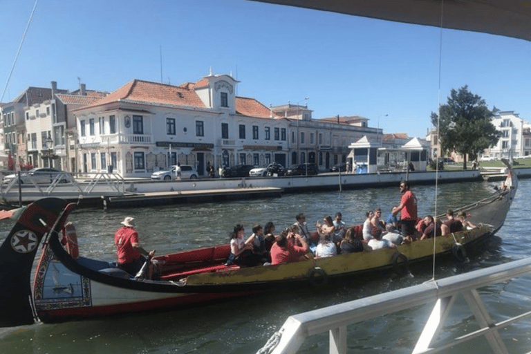 Aveiro and Coimbra Private Tour