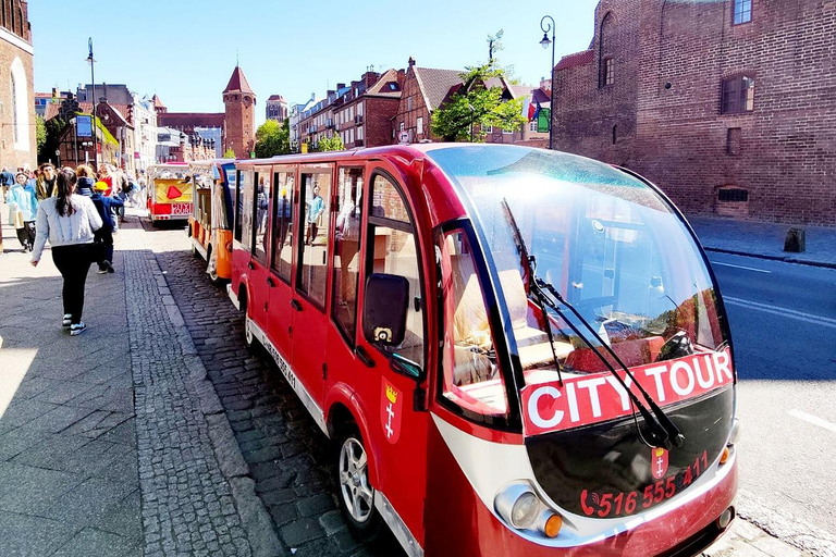 Danzig: VIP Stadtführung Golf Cart 2h+Gradowa Hill View PointDanzig: VIP City Sightseeing Tour Golf Cart 2h+Gradowa Hügel