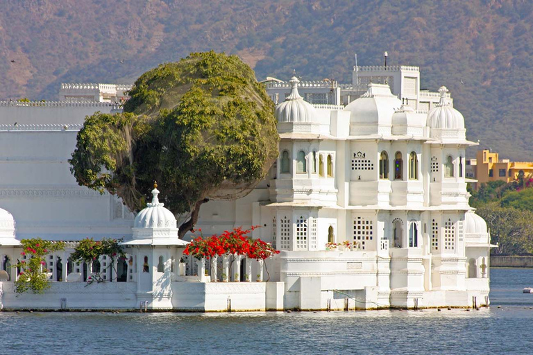 Udaipur: Private Sightseeing Guided City Tour in Udaipur Private Sightseeing Guided City Udaipur Tour by AC Cab