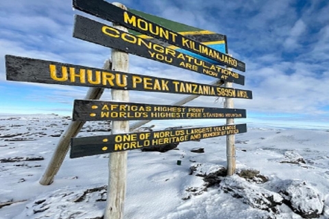 Beste 7 Tage Kilimanjaro-Besteigung über die Machame-Route