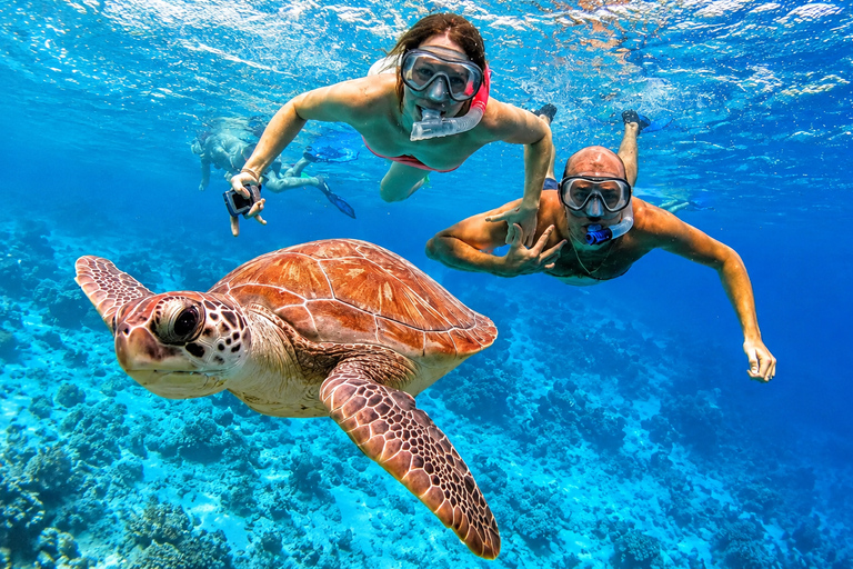 Punta Cana: Isla Catalina Snorkeling & Beach Day Trip