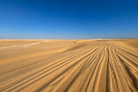 From Cairo: 4x4 Desert Safari, Waterfalls & Magic Lake Shared Tour: Wadi El Rayan, Magic Lake & Lake Qarun, Jeep